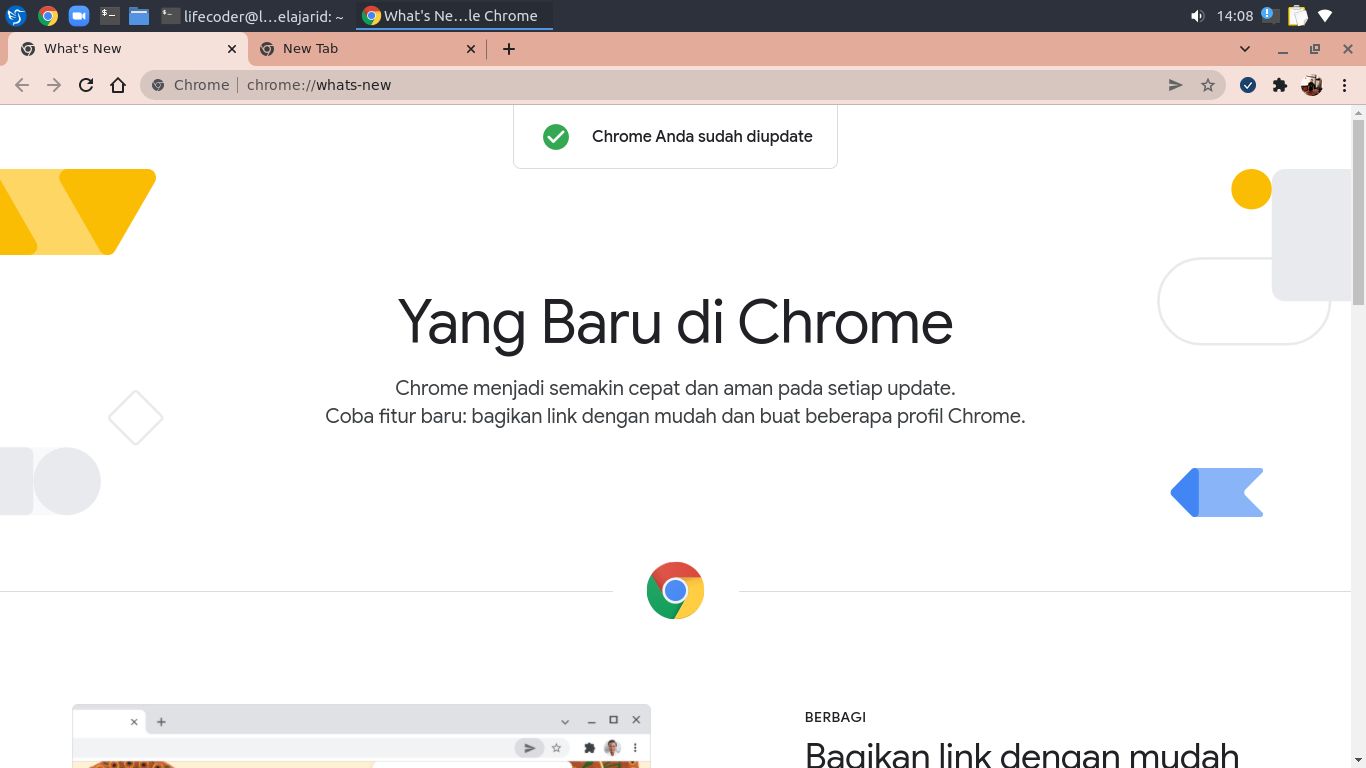 chrome-after-update